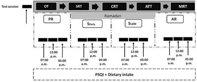 The effect of last meal “Suhoor” timing on diurnal variations in cognitive performance during Ramadan fasting among female athletes